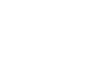 Hitachi